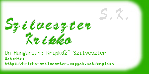 szilveszter kripko business card